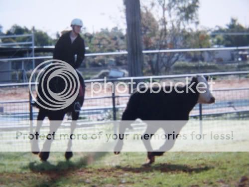 http://i341.photobucket.com/albums/o363/mellandshad/100_2444.jpg