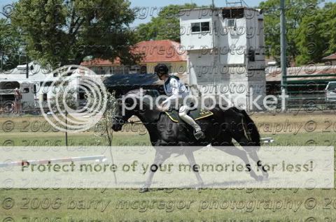http://i341.photobucket.com/albums/o363/mellandshad/734.jpg