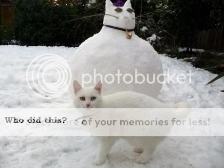 photo whodidthis_zps9ef16c80.jpg