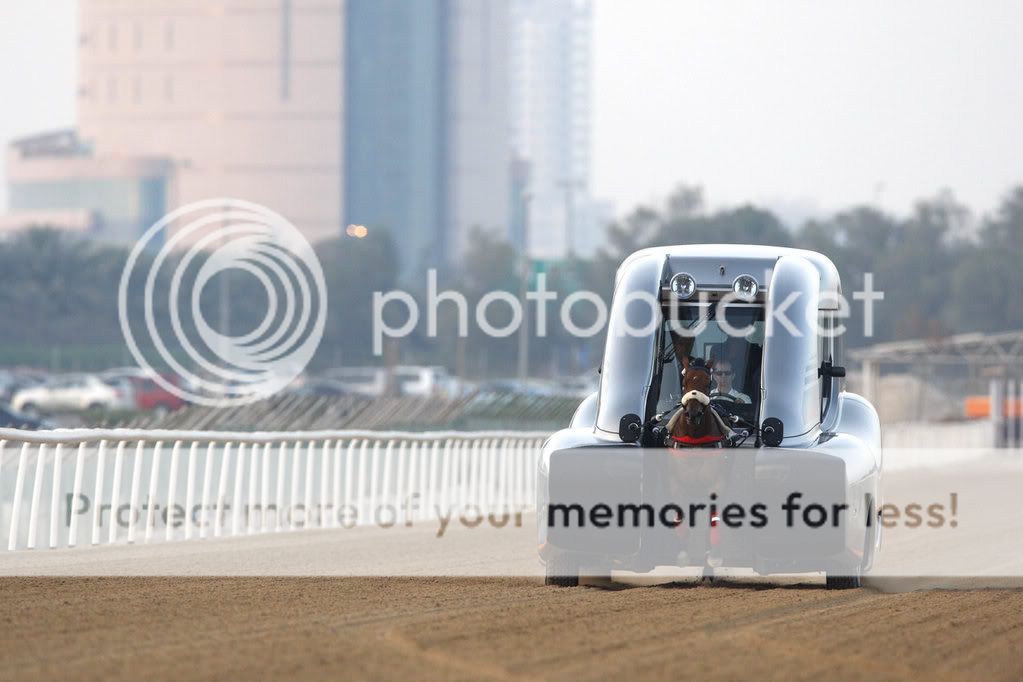 Roush_Horse_1.jpg