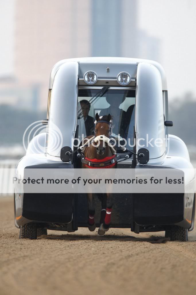 Roush_Horse_6.jpg