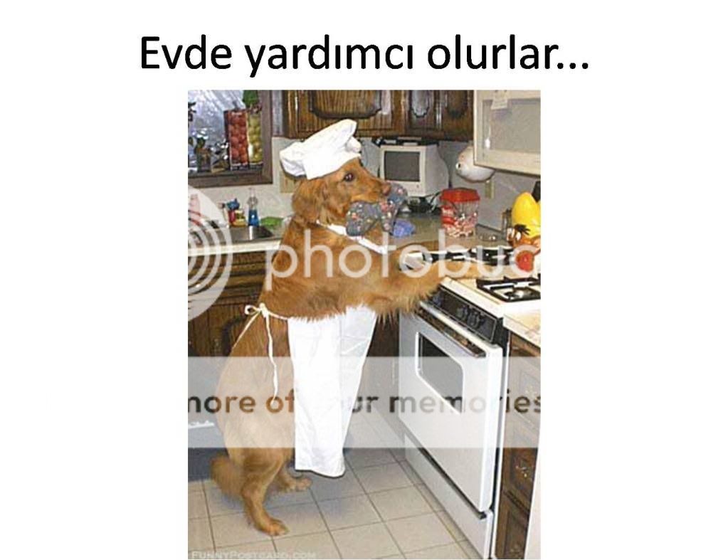 Resim1.jpg