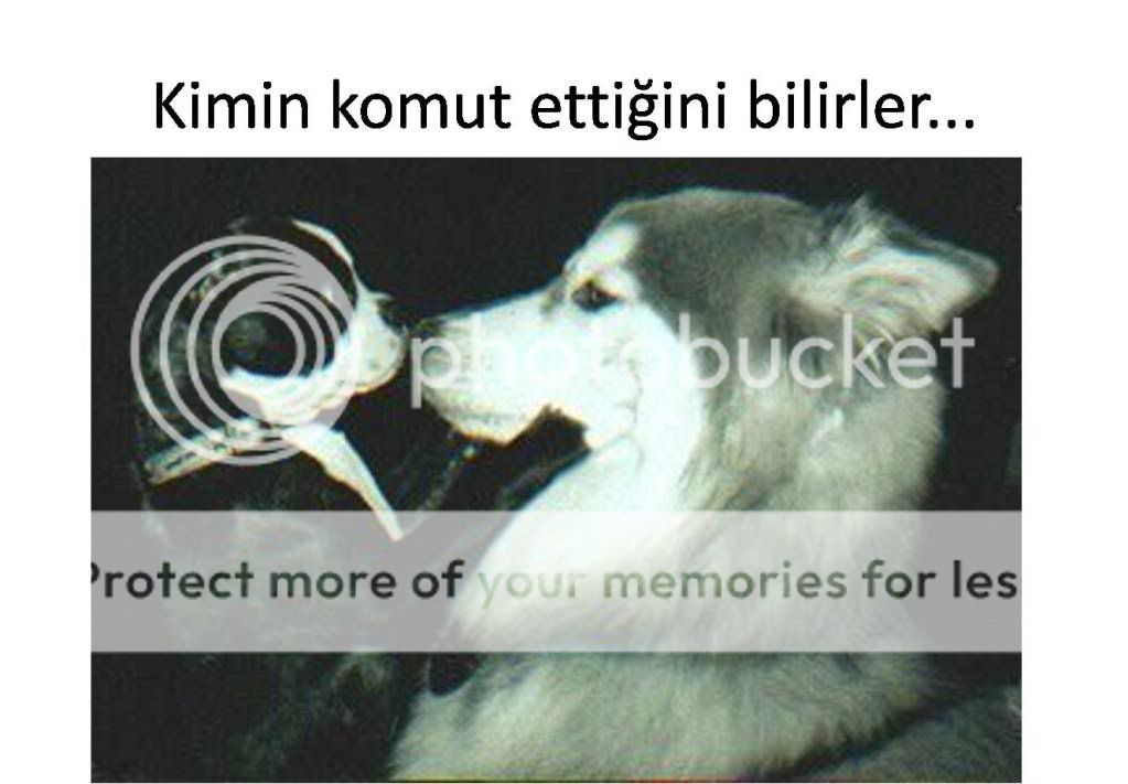 Resim10.jpg