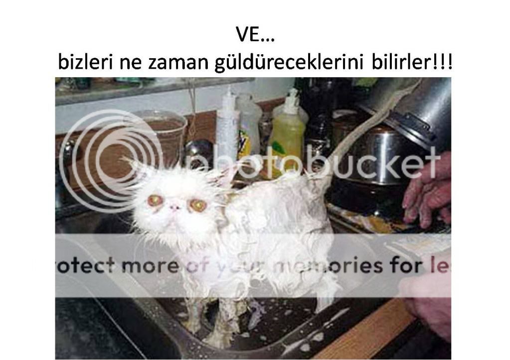 Resim11.jpg