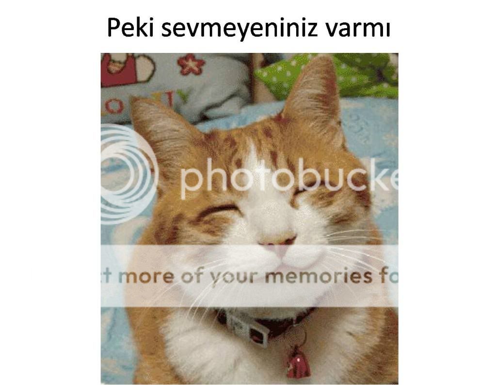 Resim12.jpg