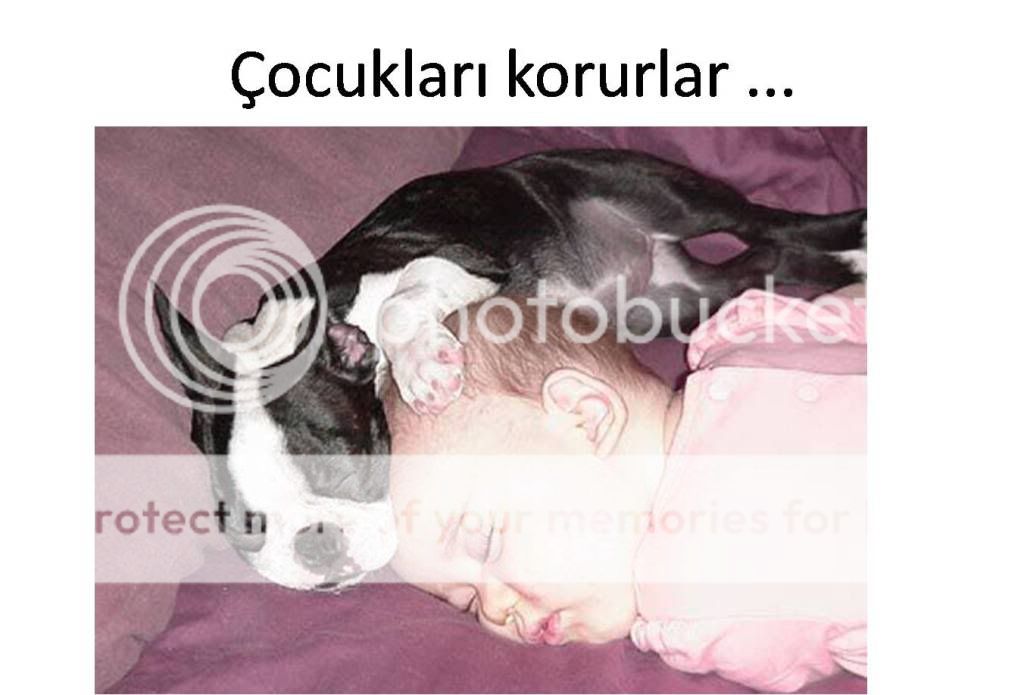 Resim2.jpg