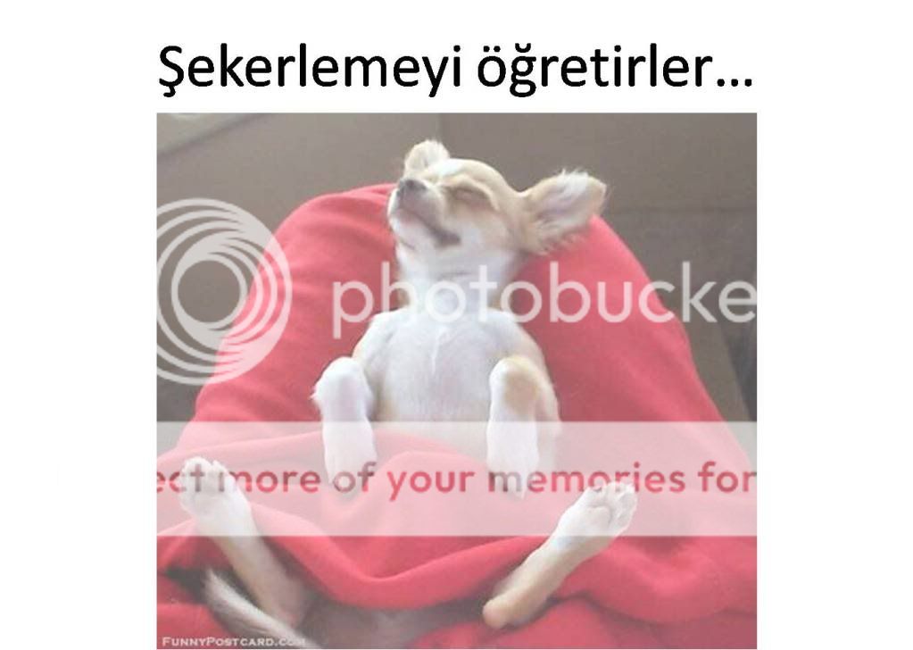 Resim4.jpg