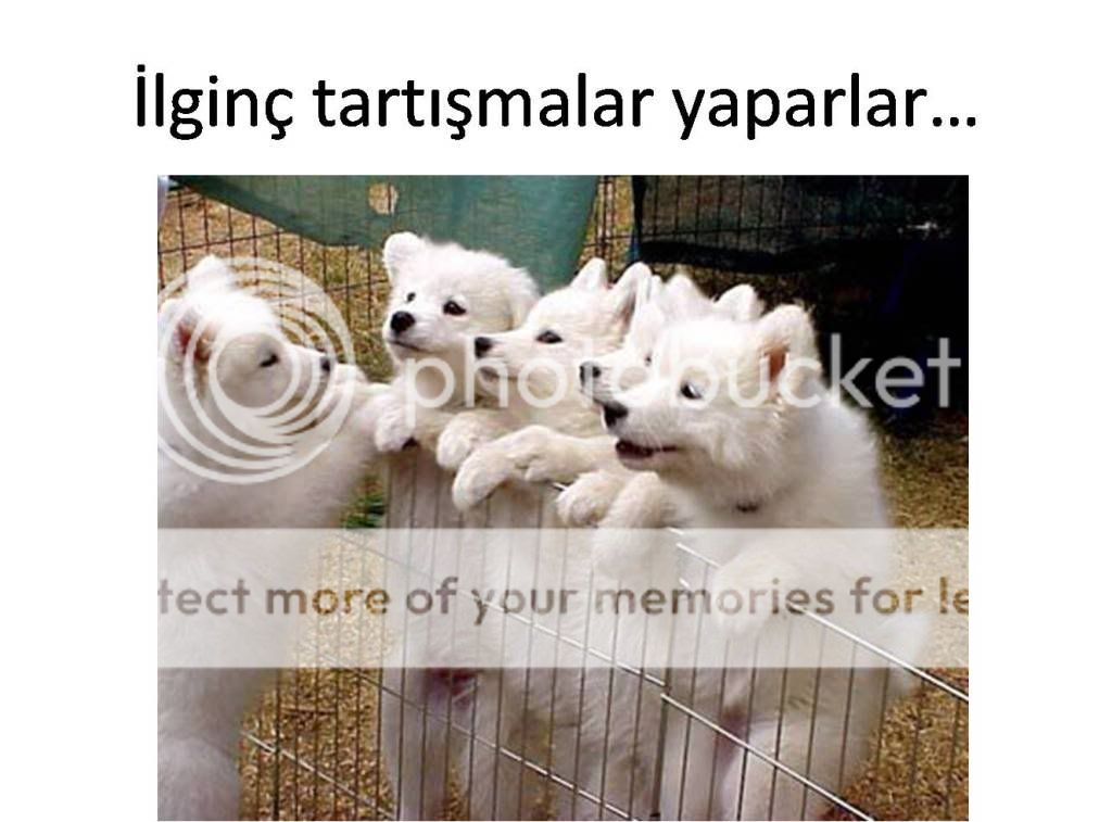 Resim5.jpg