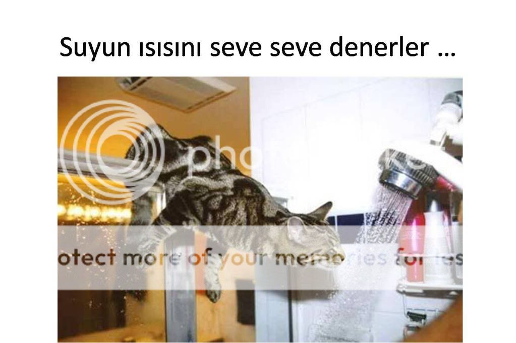 Resim8.jpg