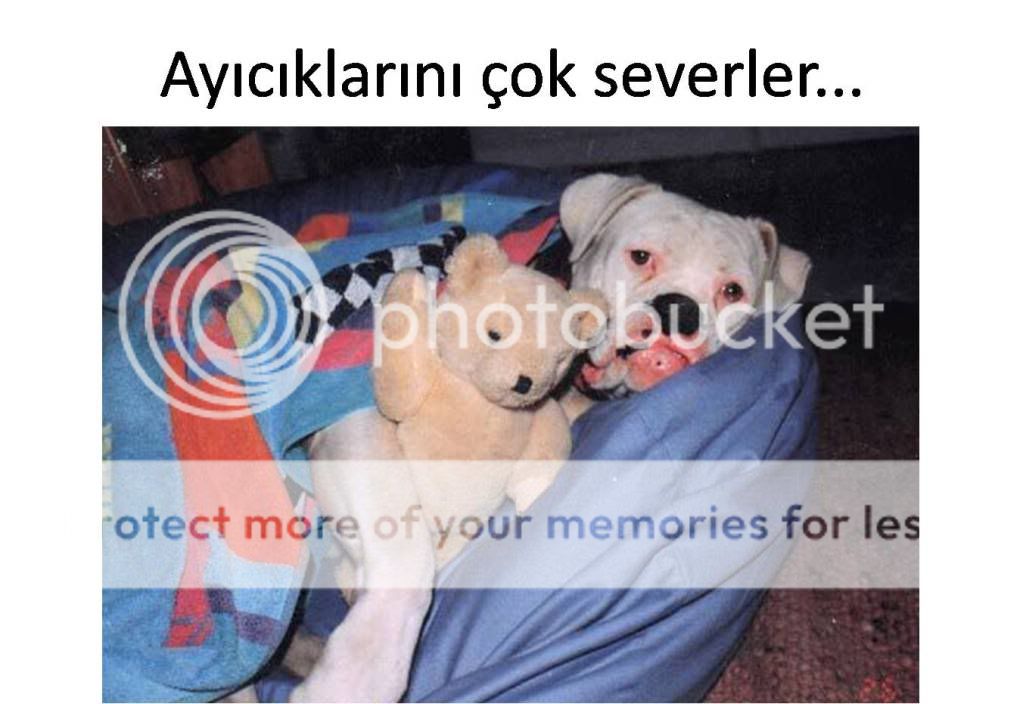 Resim9.jpg