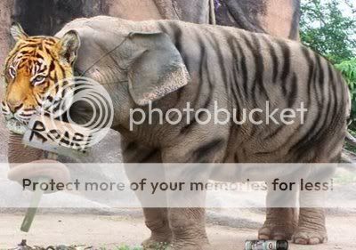 howtohideanelephant2ht5.jpg
