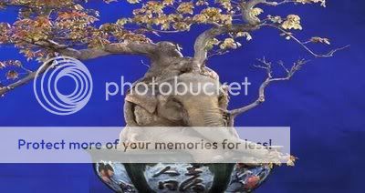 howtohideanelephant5uq3.jpg