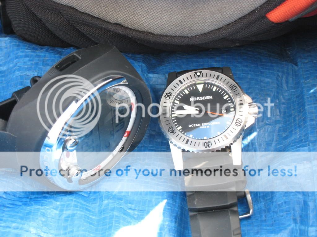 What watches do divers really wear? The Dive Watch Connection