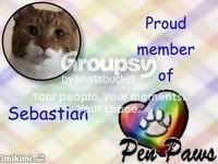 sabpaw1