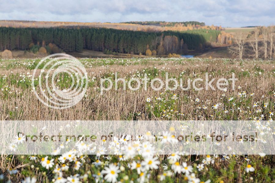 Среднерусский осенний пейзаж Photobucket