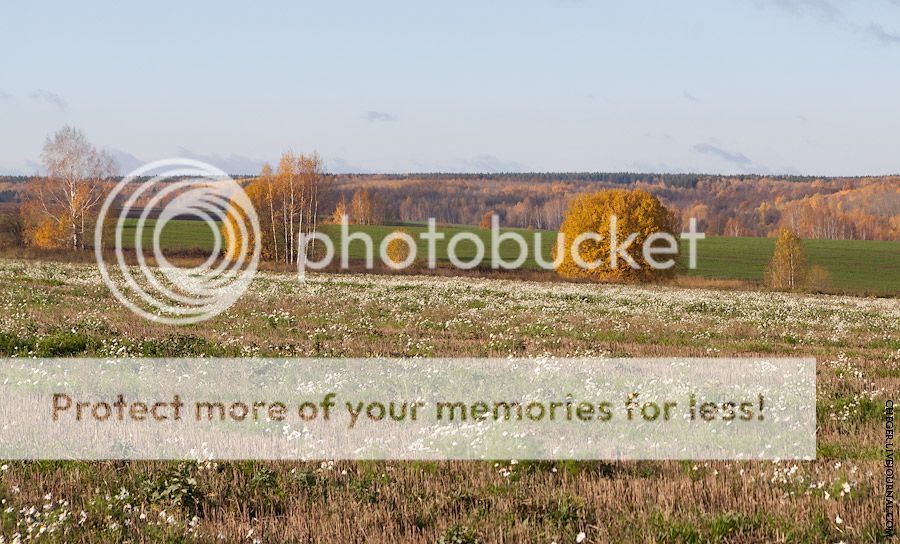 Среднерусский осенний пейзаж Photobucket