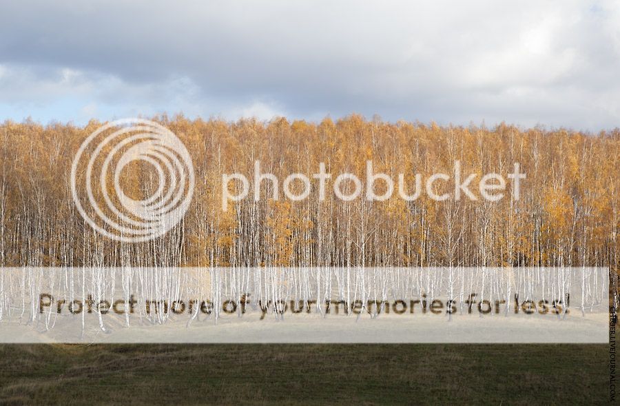 Среднерусский осенний пейзаж Photobucket