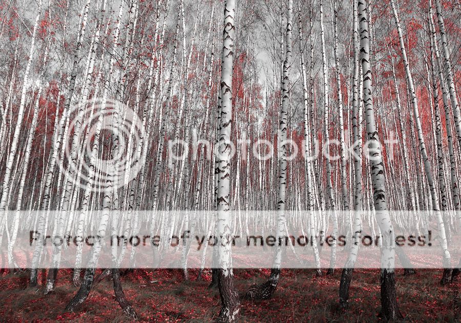 Среднерусский осенний пейзаж Photobucket