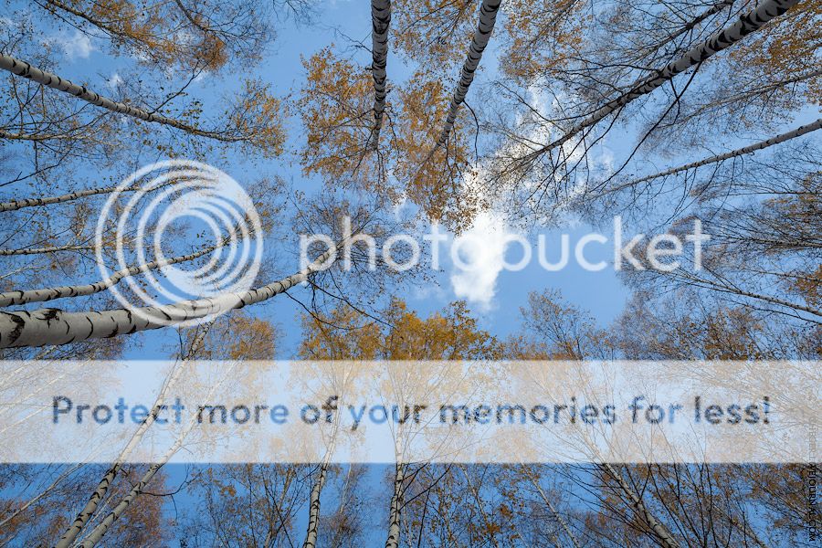 Среднерусский осенний пейзаж Photobucket
