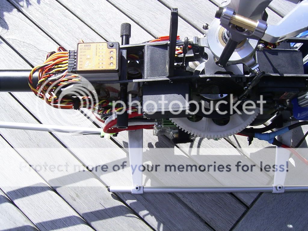 RIMG0003-8.jpg