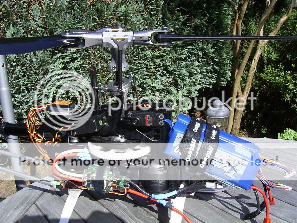 RIMG2562.jpg