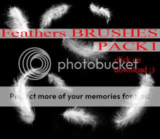 Feathers_BRUSHES_PACK_1_by_whynotas.jpg