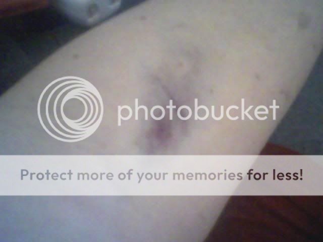 GetAttachmentaspx.jpg picture by MMcLean05