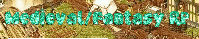 ❦❧Veridian Town ➽  A Medieval/Fantasy Roleplay banner