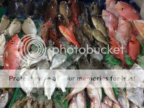 photo IMG_1881_ _ .jpg
