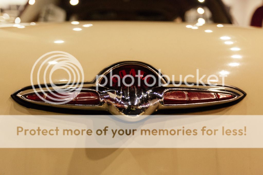 photo IMG_3110.jpg
