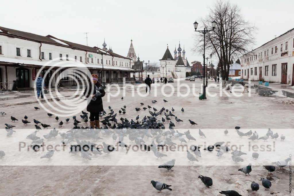 photo IMG_6401.jpg