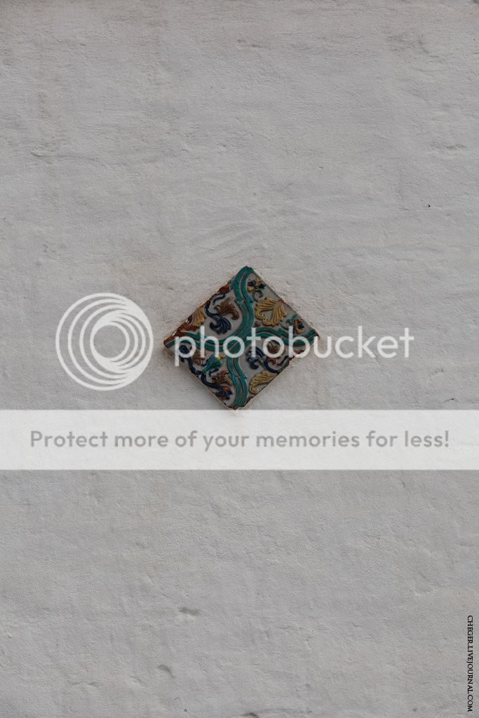 photo IMG_9201.jpg