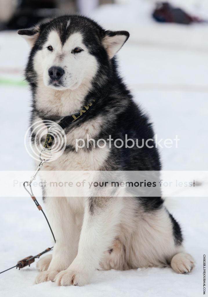 photo IMG_6658.jpg