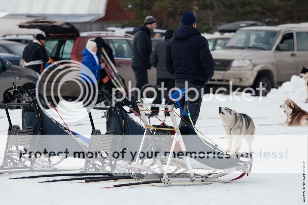 photo IMG_6706.jpg