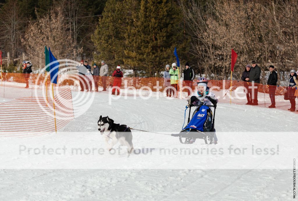 photo IMG_6740.jpg