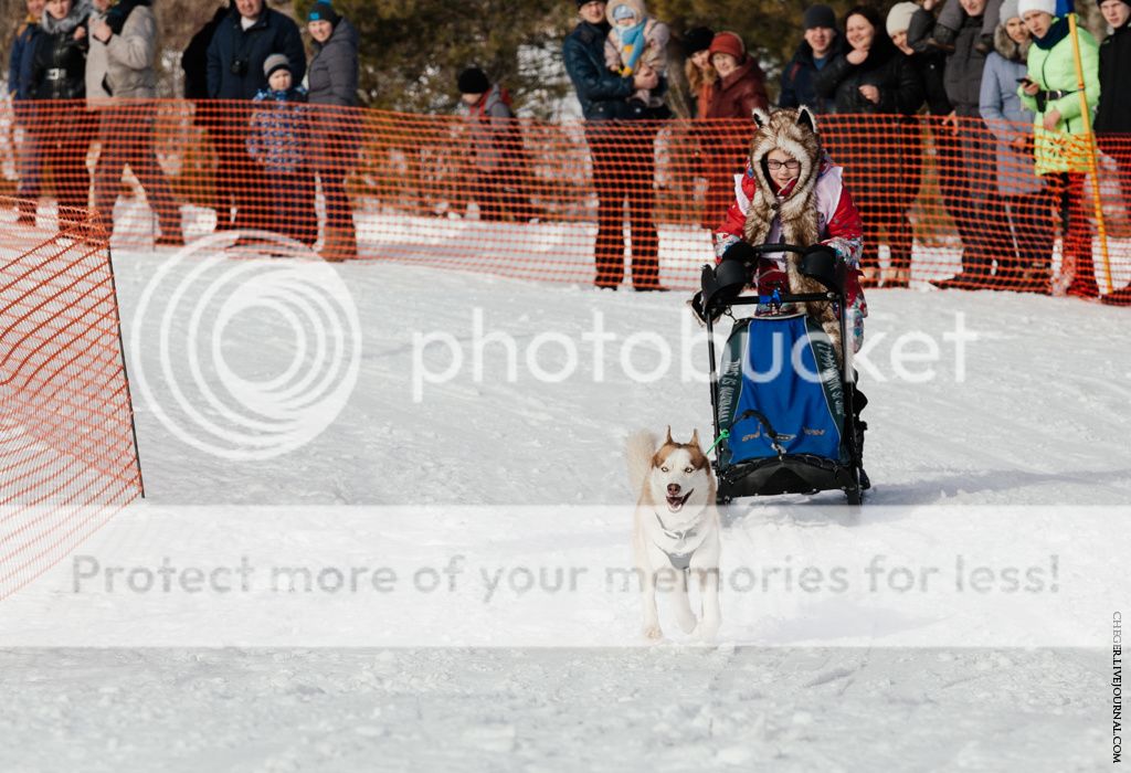 photo IMG_6759.jpg