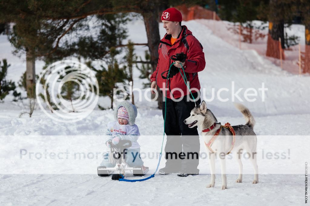 photo IMG_6808.jpg