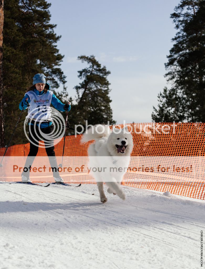 photo IMG_6841.jpg