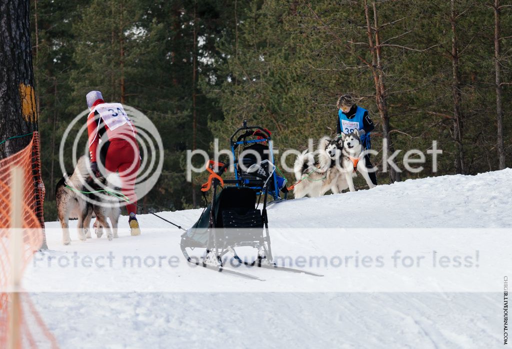 photo IMG_6998.jpg