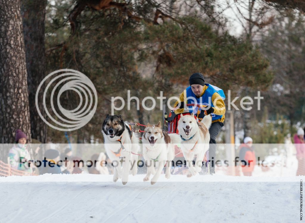 photo IMG_7060.jpg