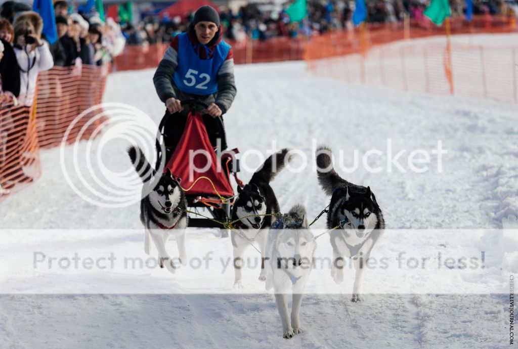 photo IMG_7138.jpg