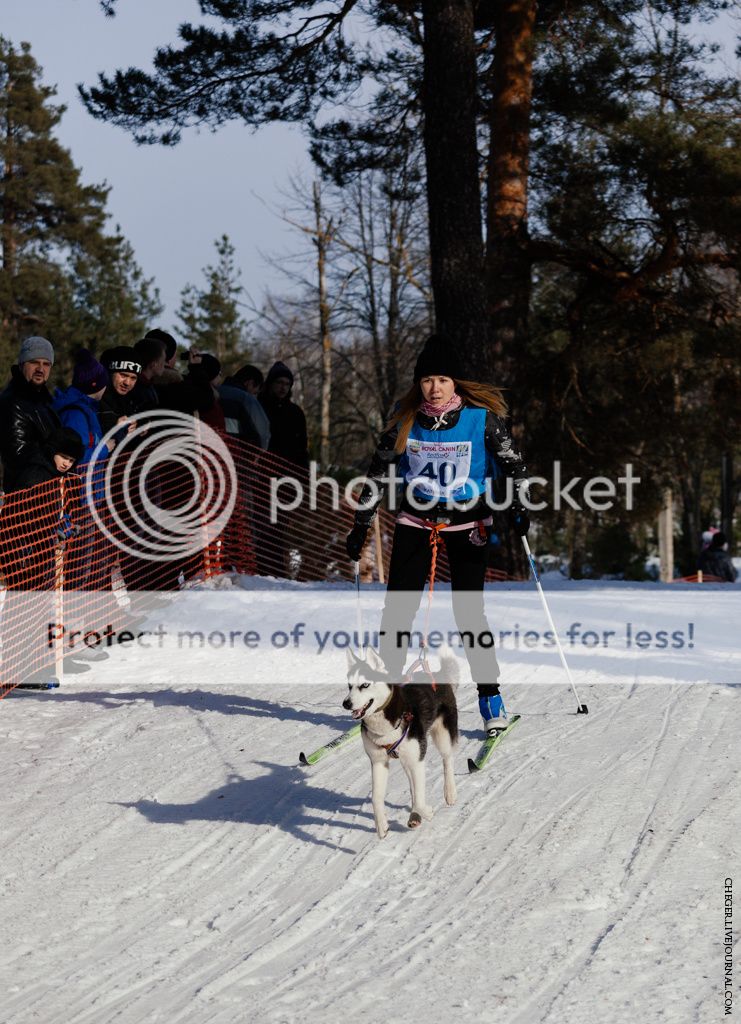 photo IMG_7263.jpg