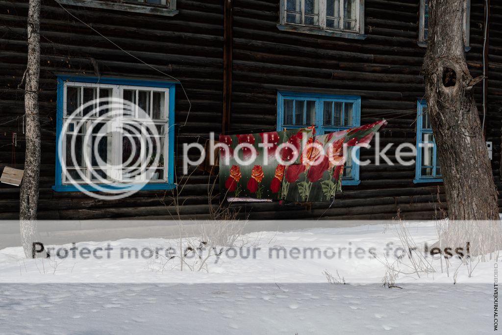 photo IMG_7173.jpg