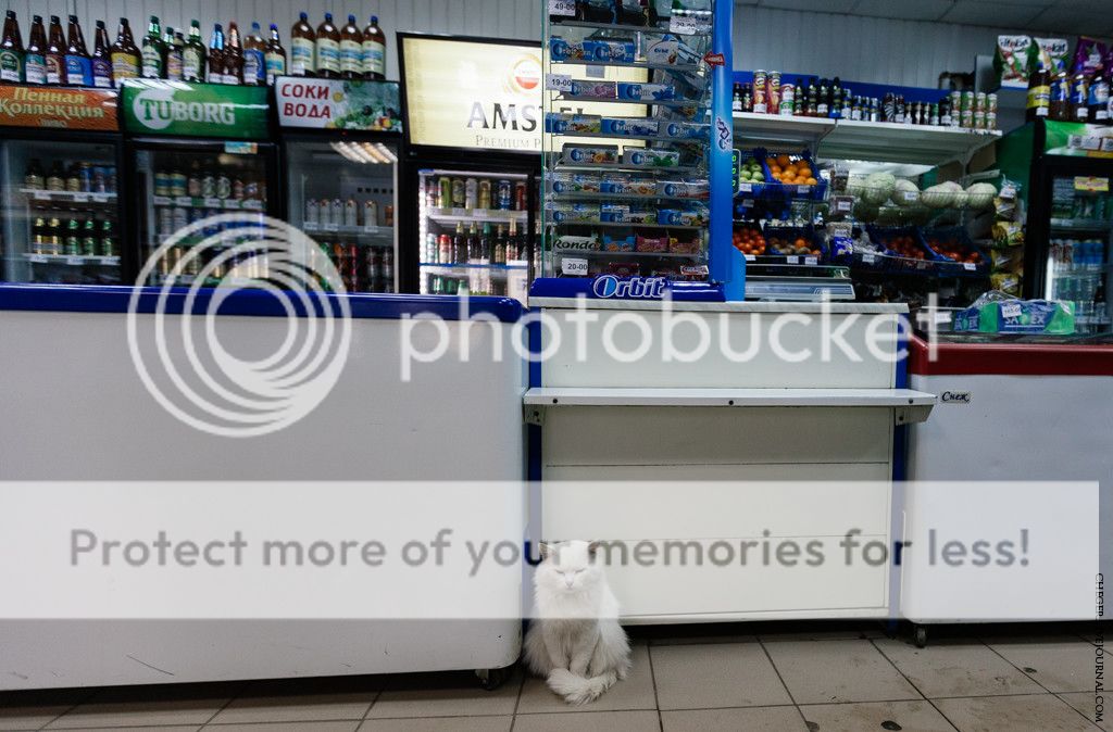 photo IMG_4260.jpg
