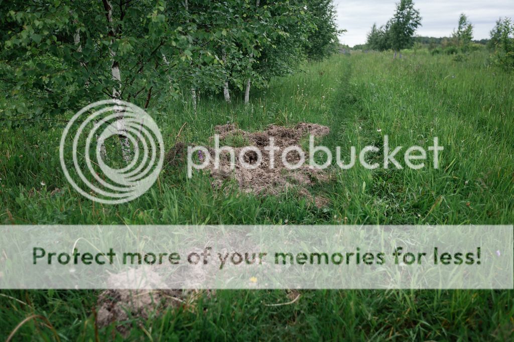 photo IMG_4863_1.jpg
