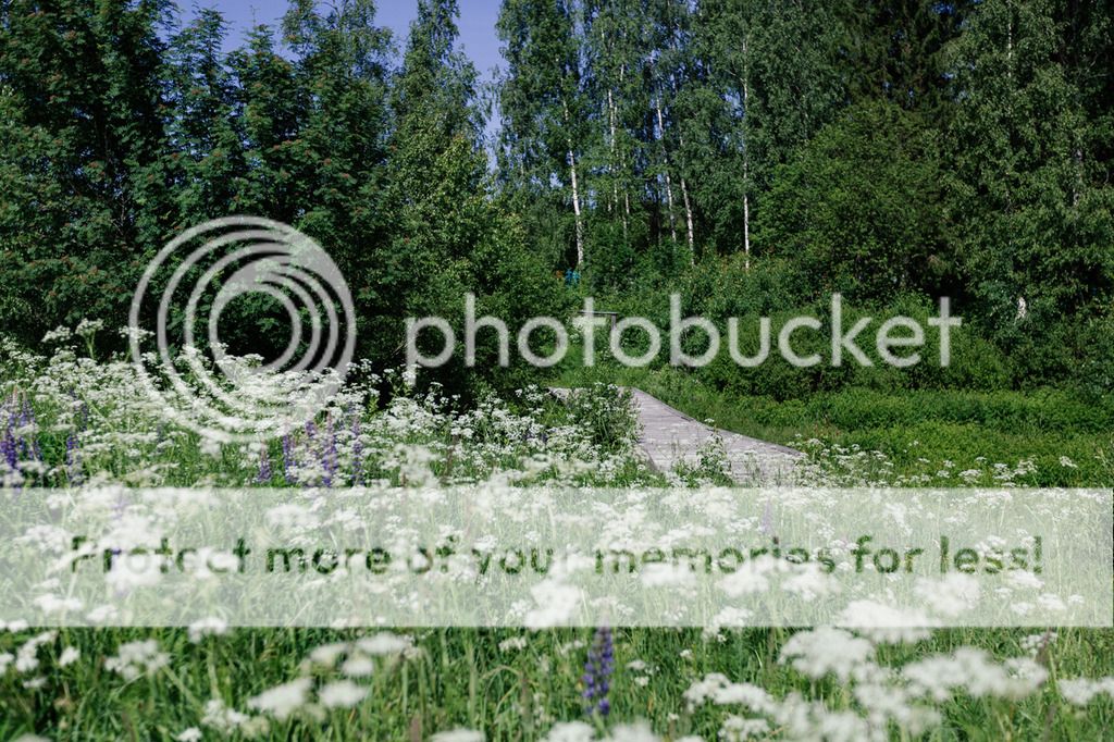 photo IMG_4977.jpg