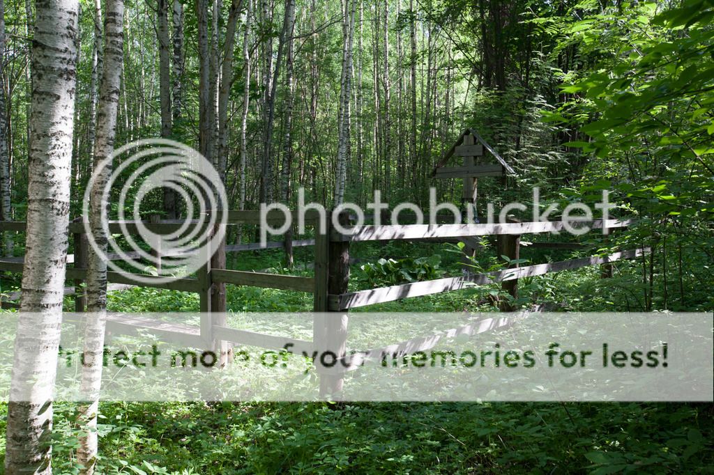 photo IMG_4494.jpg