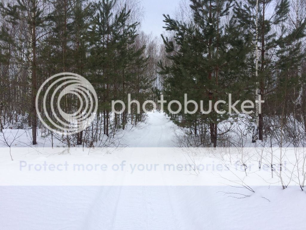 photo IMG_4234_ .jpg