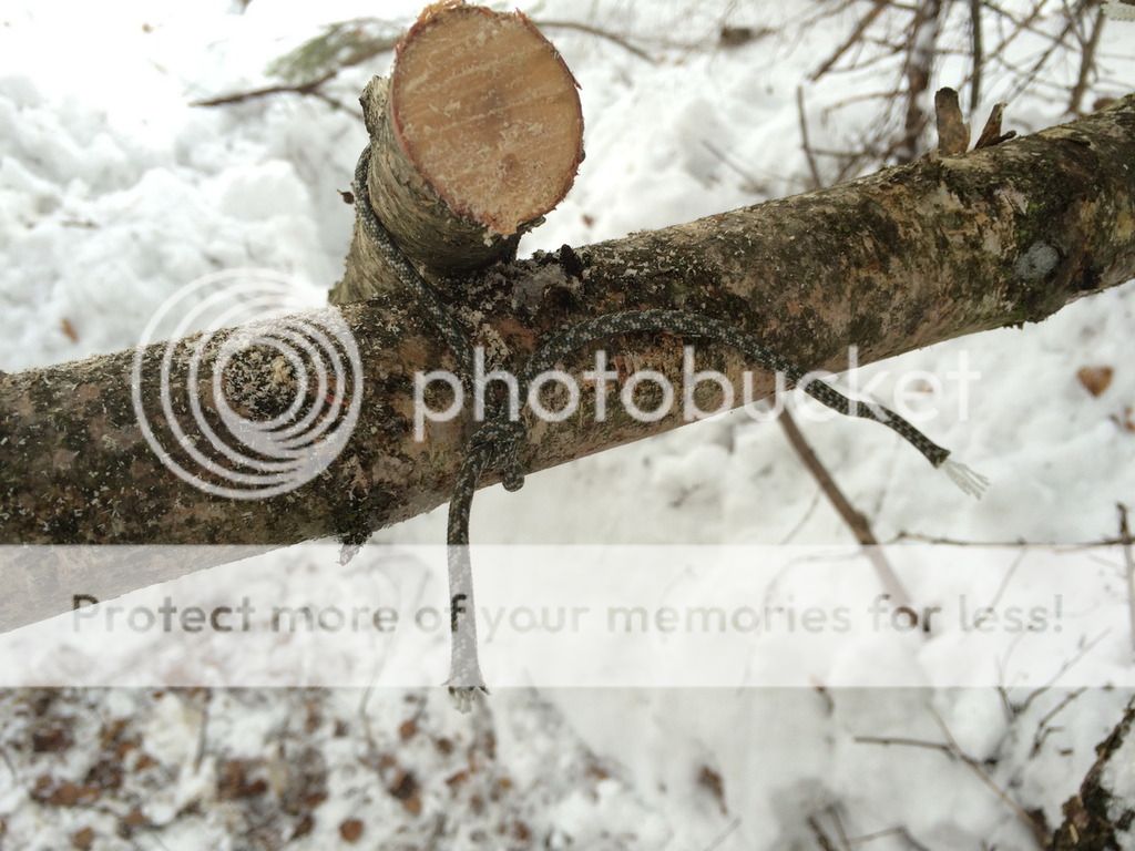 photo IMG_4247_ .jpg