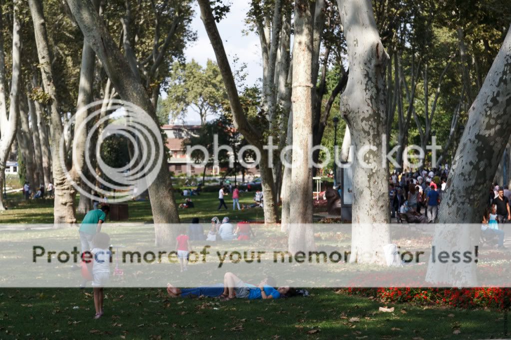 photo IMG_2302.jpg